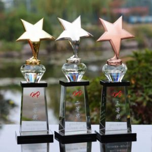 Crystal Trophies ALCR0062 – Crystal Award | Buy Online at Trophy-World Malaysia Supplier