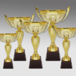 Metal Trophies ALMT0012 – Metal Trophy | Buy Online at Trophy-World Malaysia Supplier