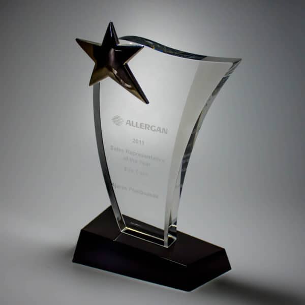 Star Awards ALST0040 – Star Award | Buy Online at Trophy-World Malaysia Supplier