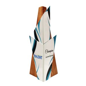 Customized Trophies Customized Trophy TWC0020 | Buy Online at Trophy-World Malaysia Supplier