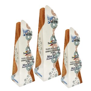 Customized Trophies Customized Trophy TWC0022 | Buy Online at Trophy-World Malaysia Supplier
