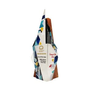 Customized Trophies Customized Trophy TWC0028 | Buy Online at Trophy-World Malaysia Supplier