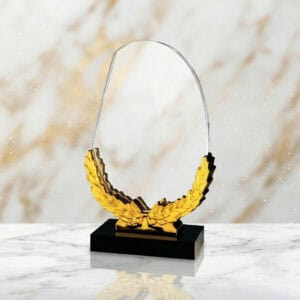 Crystal Plaques Crystal Plaque ALCP1625 | Buy Online at Trophy-World Malaysia Supplier