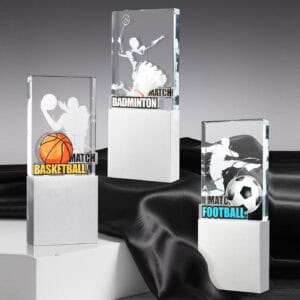 Customized Premium Customized TWPC00009 | Buy Online at Trophy-World Malaysia Supplier Customized Premium Customized TWPC00009 | Buy Online at Trophy-World Malaysia Supplier