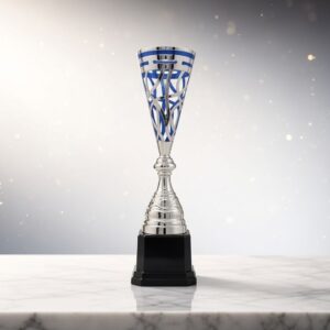 Acrylic Awards Silver Blue Trophies A0007 | Buy Online at Trophy-World Malaysia Supplier